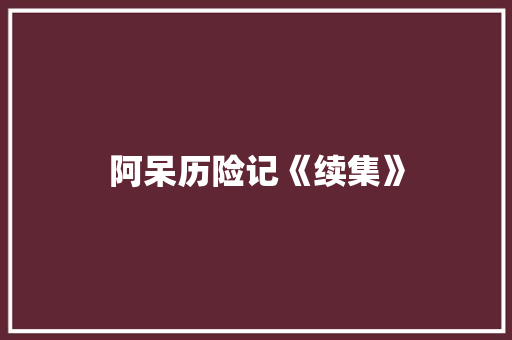 阿呆历险记《续集》