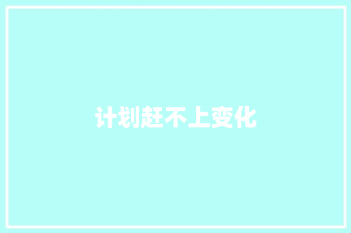 计划赶不上变化