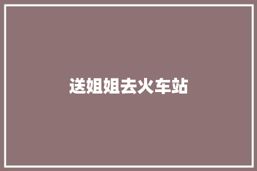 送姐姐去火车站