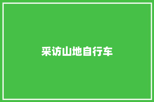 采访山地自行车