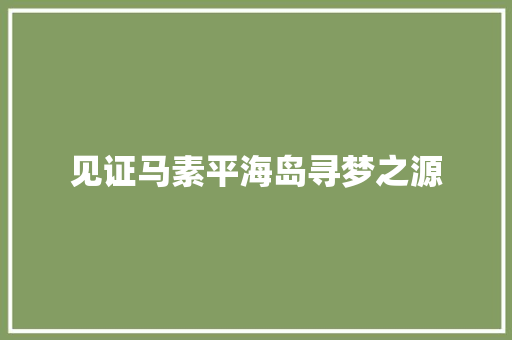 见证马素平海岛寻梦之源
