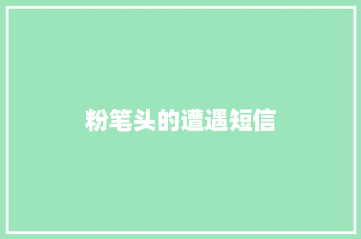 粉笔头的遭遇短信