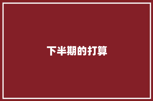 下半期的打算