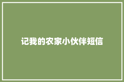 记我的农家小伙伴短信