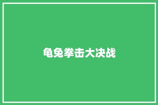龟兔拳击大决战