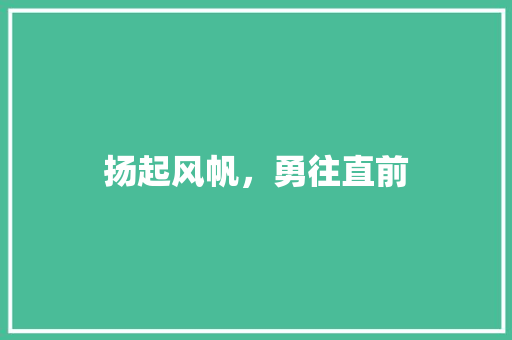 扬起风帆，勇往直前