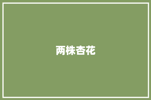 两株杏花