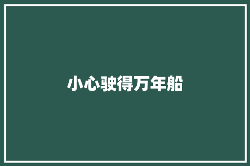 小心驶得万年船