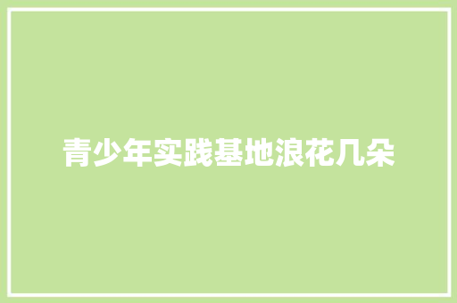 青少年实践基地浪花几朵