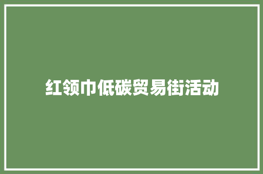 红领巾低碳贸易街活动
