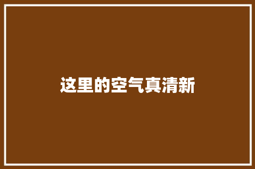 这里的空气真清新