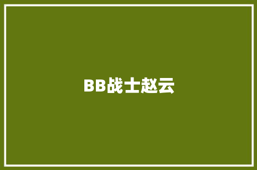 BB战士赵云