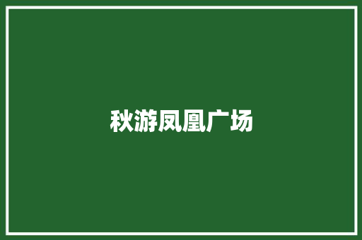 秋游凤凰广场