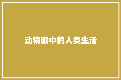 动物眼中的人类生活