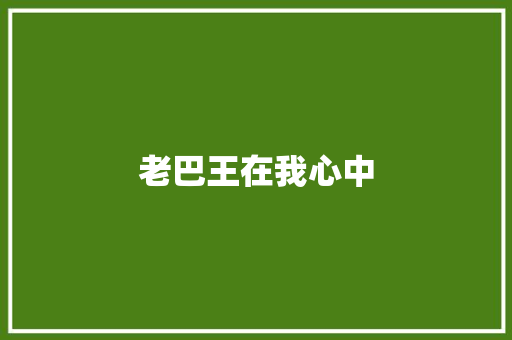 老巴王在我心中