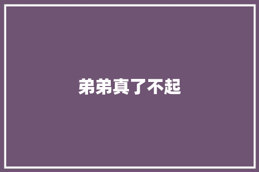 弟弟真了不起