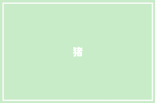 猪