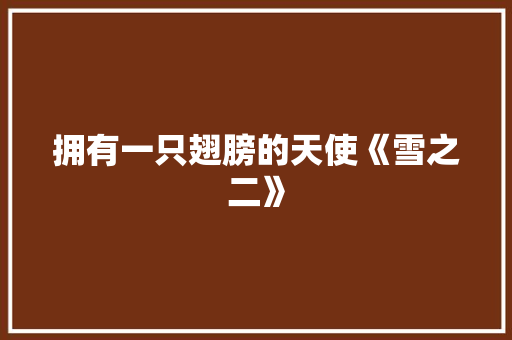 拥有一只翅膀的天使《雪之二》