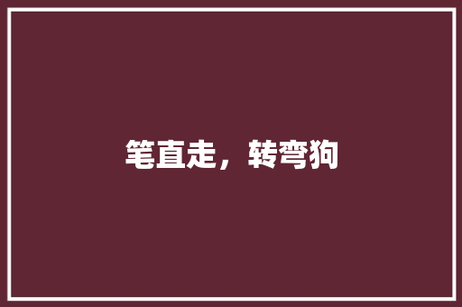 笔直走，转弯狗 知识百科