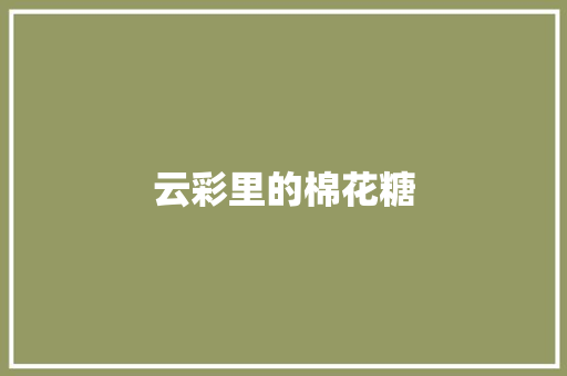 云彩里的棉花糖