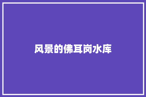 风景的佛耳岗水库