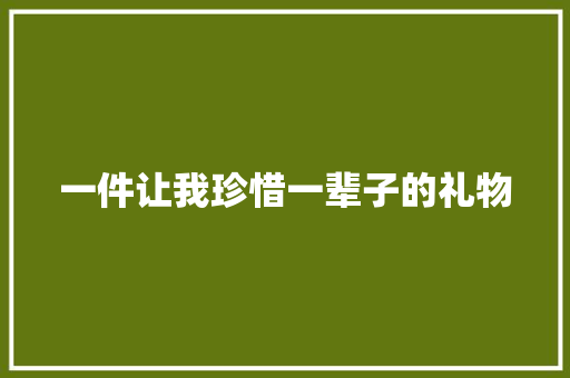一件让我珍惜一辈子的礼物