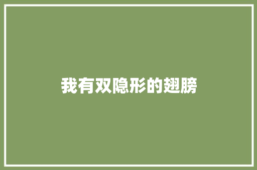 我有双隐形的翅膀