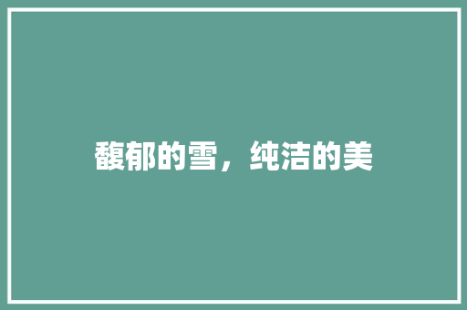 馥郁的雪，纯洁的美