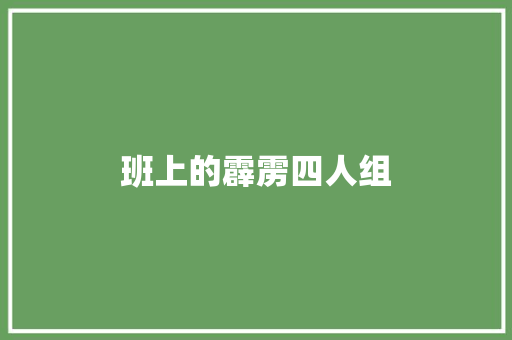 班上的霹雳四人组