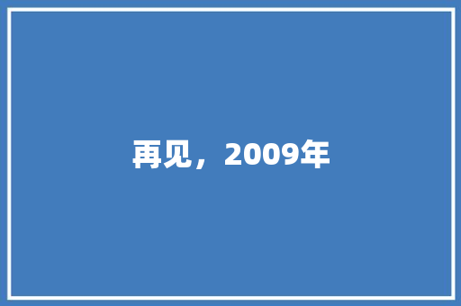 再见，2009年