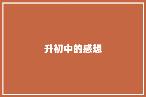 升初中的感想