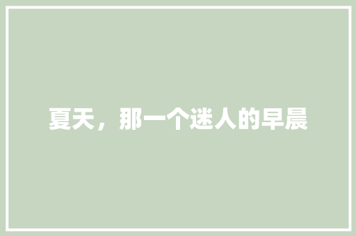 夏天，那一个迷人的早晨