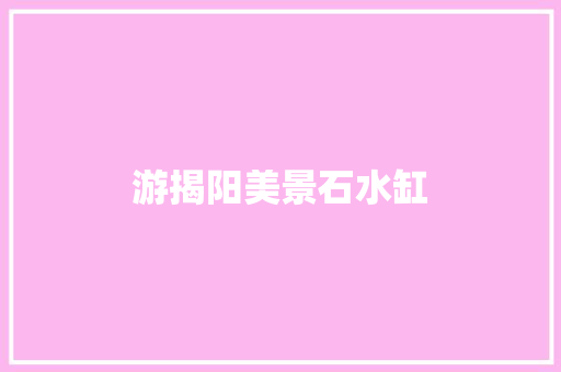游揭阳美景石水缸