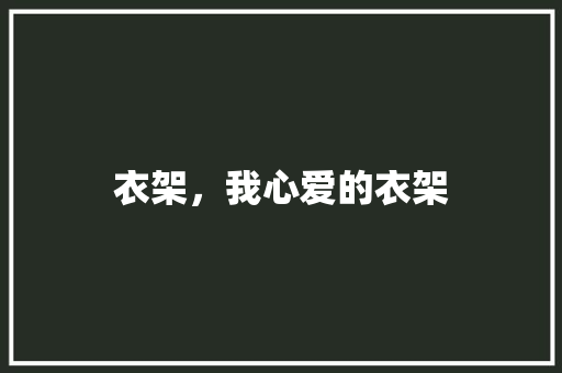 衣架，我心爱的衣架