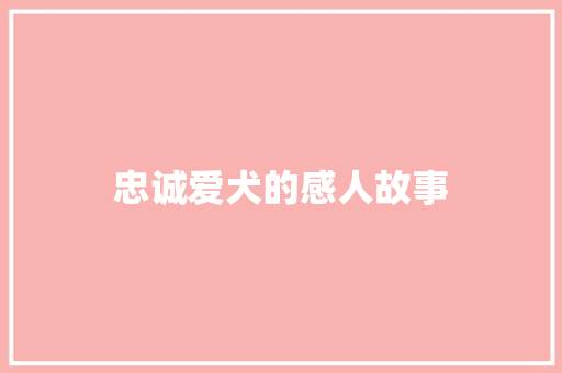 忠诚爱犬的感人故事