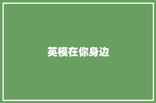 英模在你身边