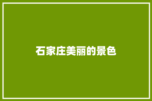 石家庄美丽的景色
