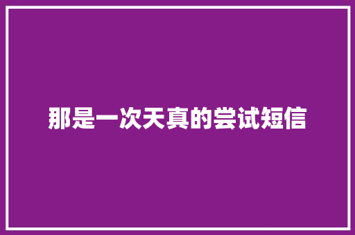 那是一次天真的尝试短信