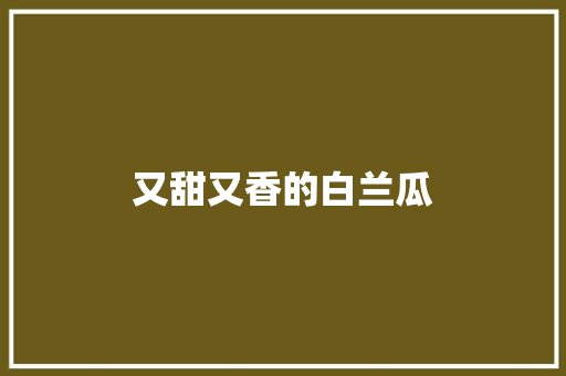 又甜又香的白兰瓜 知识百科