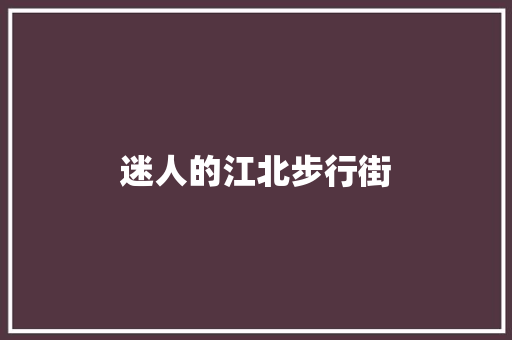 迷人的江北步行街
