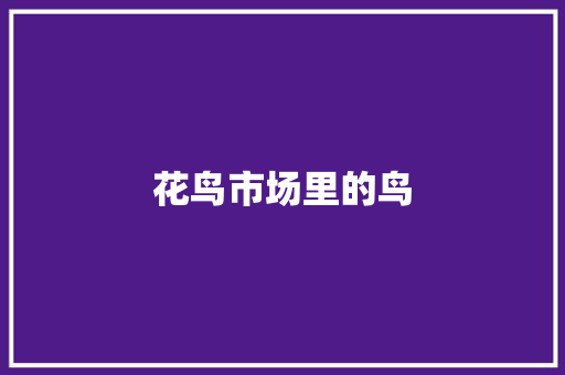 花鸟市场里的鸟