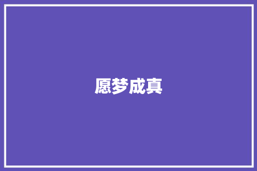愿梦成真