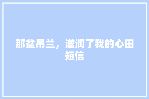 那盆吊兰，滋润了我的心田短信