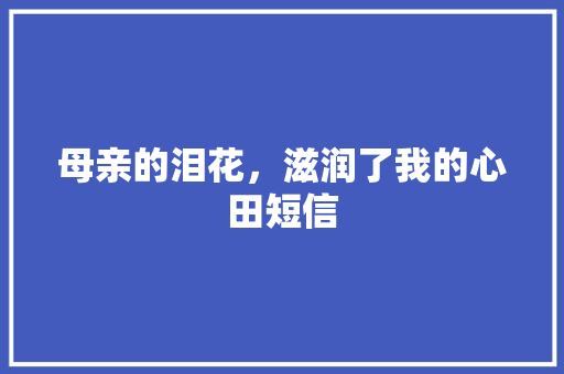 母亲的泪花，滋润了我的心田短信