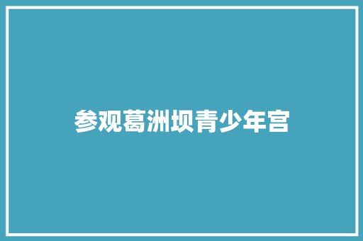 参观葛洲坝青少年宫