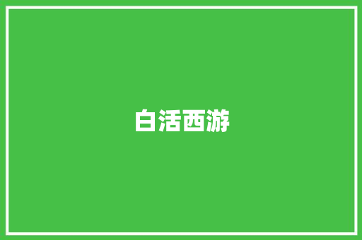 白活西游