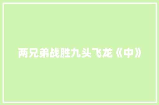 两兄弟战胜九头飞龙《中》