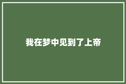 我在梦中见到了上帝
