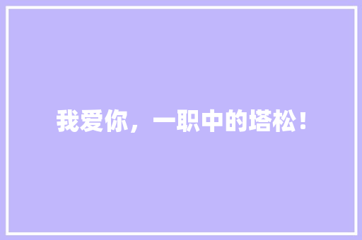 我爱你，一职中的塔松！