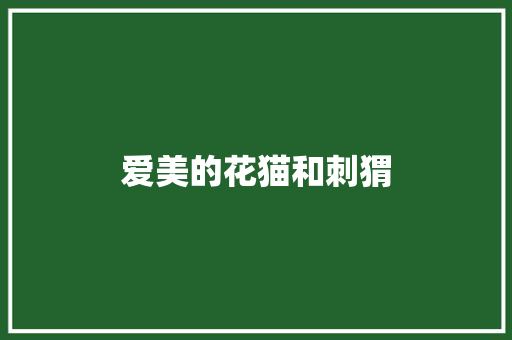 爱美的花猫和刺猬
